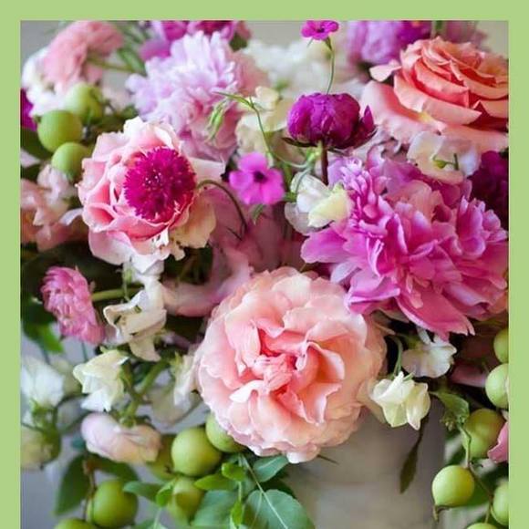 Meet your Posher, Fran - Picture 1 of 1